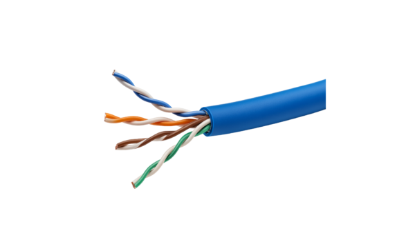 D-Link Cat6 UTP Cable – 305 m