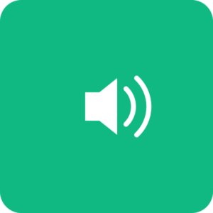 Audio Speakers